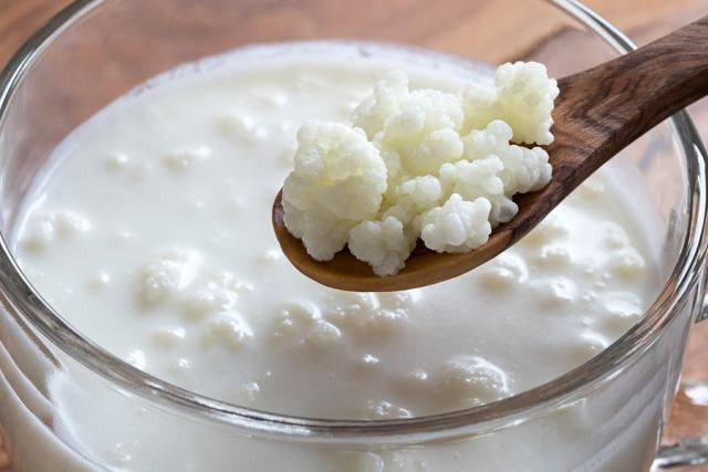 Why and How Kefir Exists?