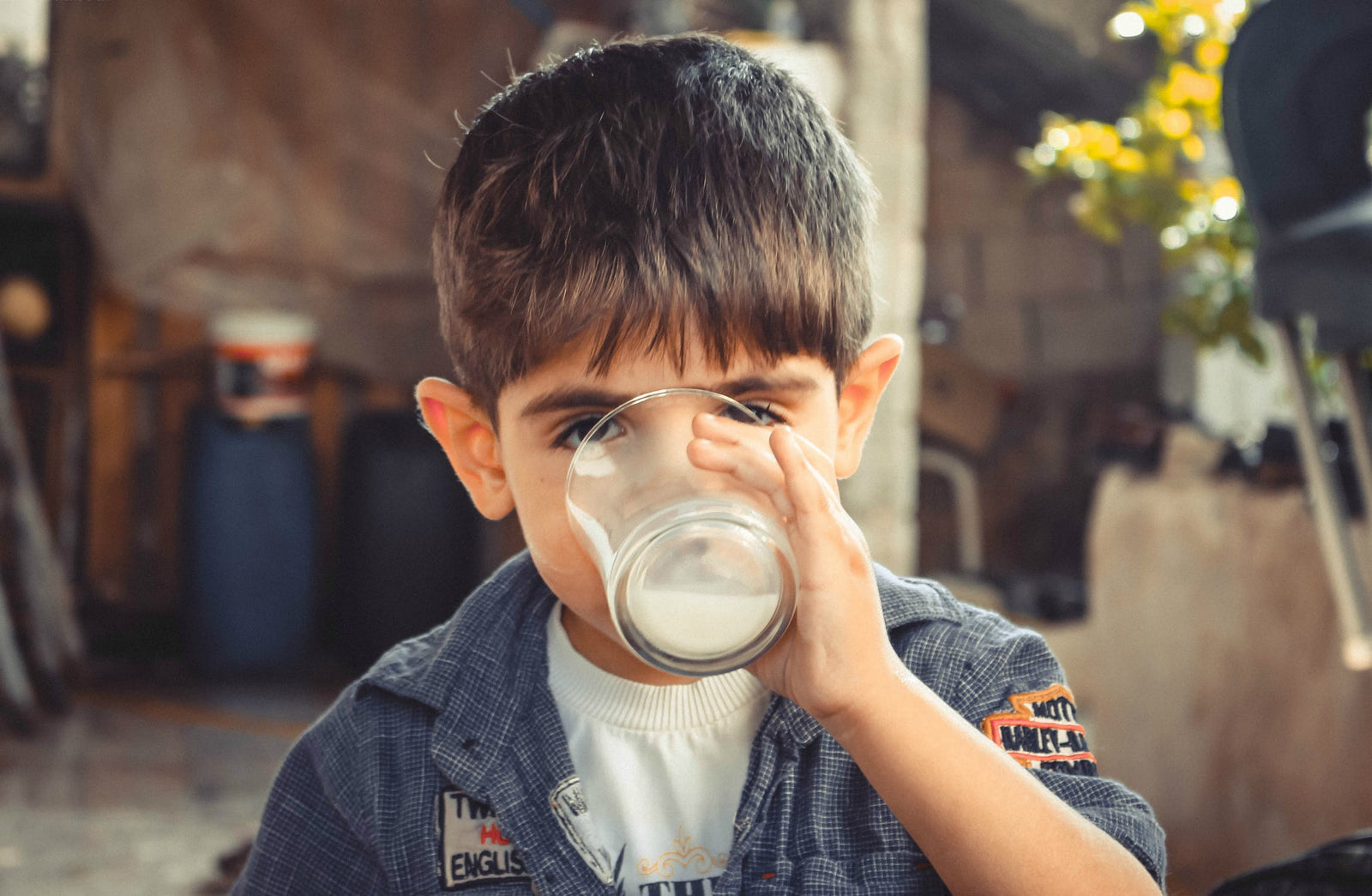 Why is A2 milk better for you?
