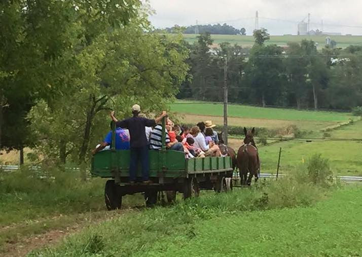 New educational workshops added to Farm Day