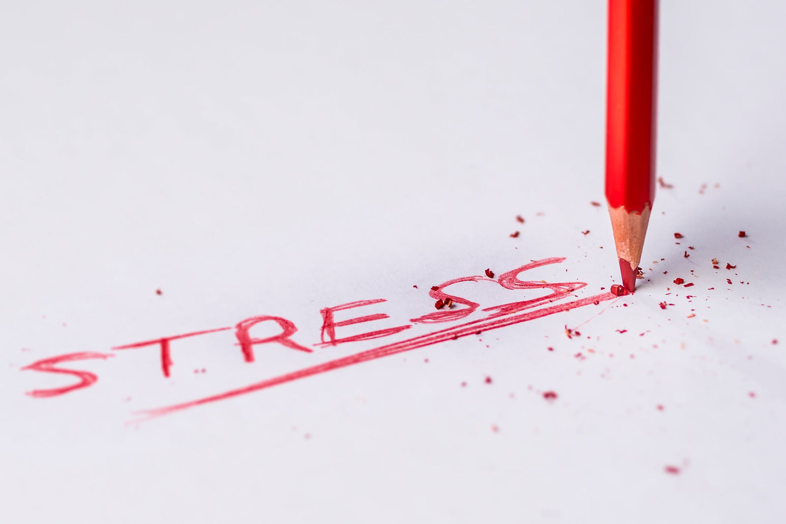 Stressed? You're not alone.