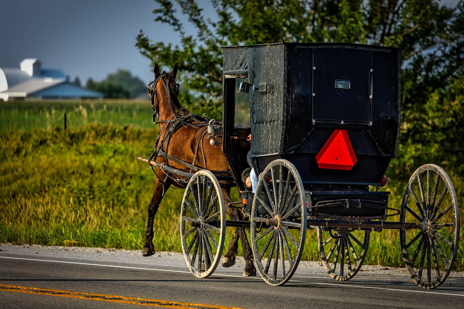 Getting food from the Amish is better, right?
