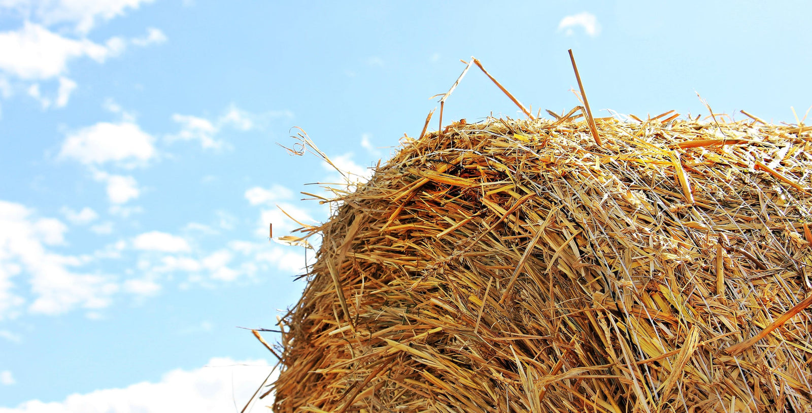 How to make hay when the sun shines