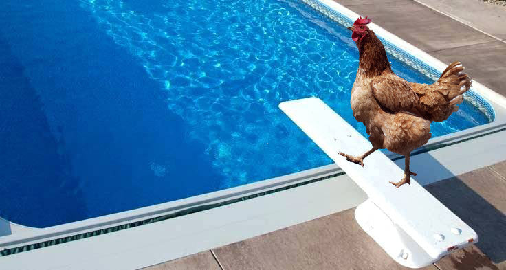How to know if there's chlorine on your chicken