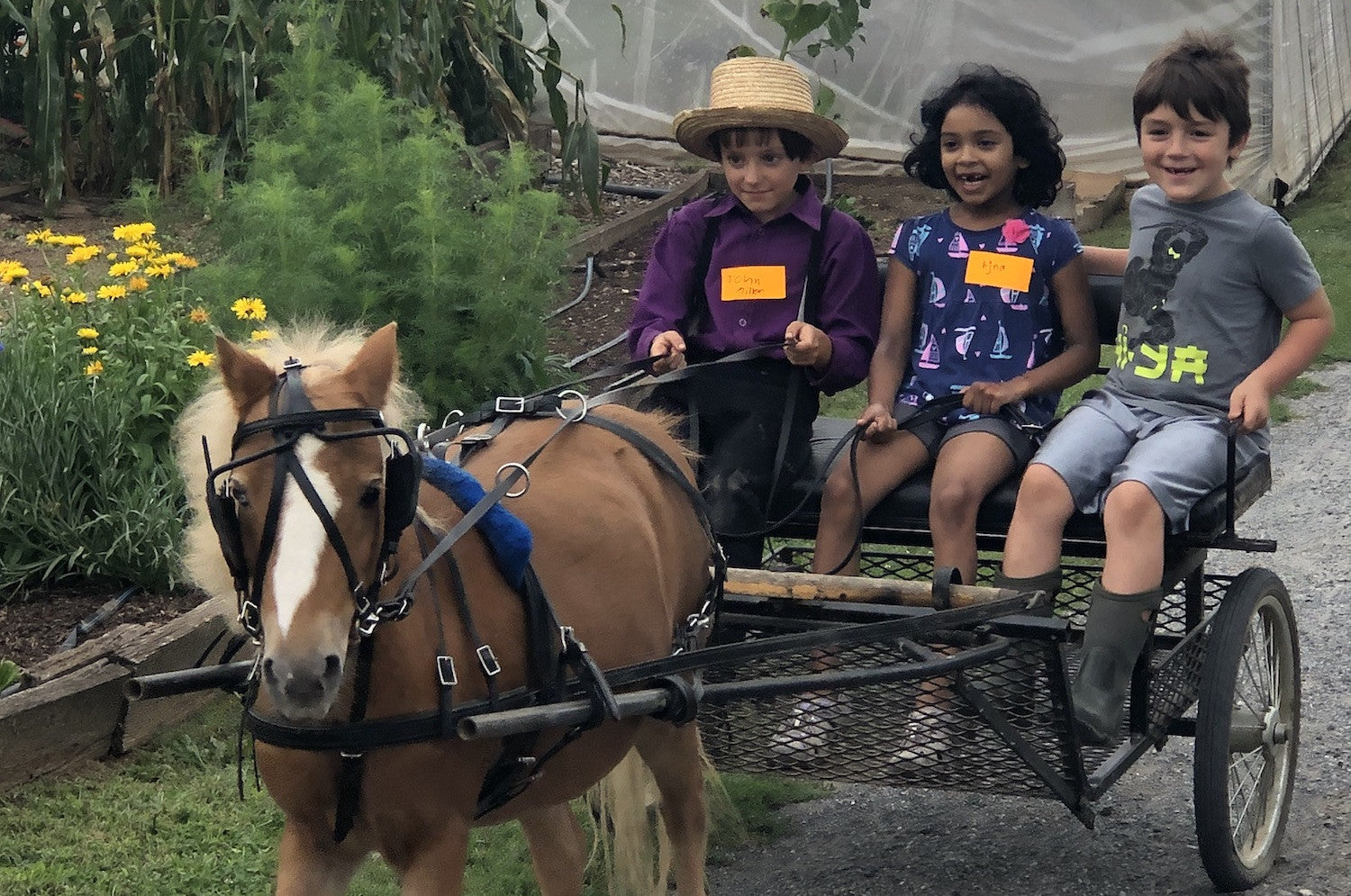 Learning about stress, happiness, and health at Farm Day