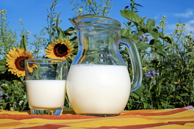 The great Milk Diet experiment results are in