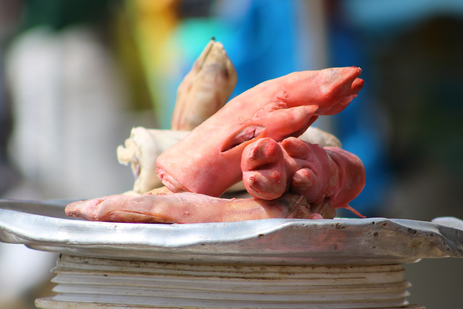 Pig Feet Recipe
