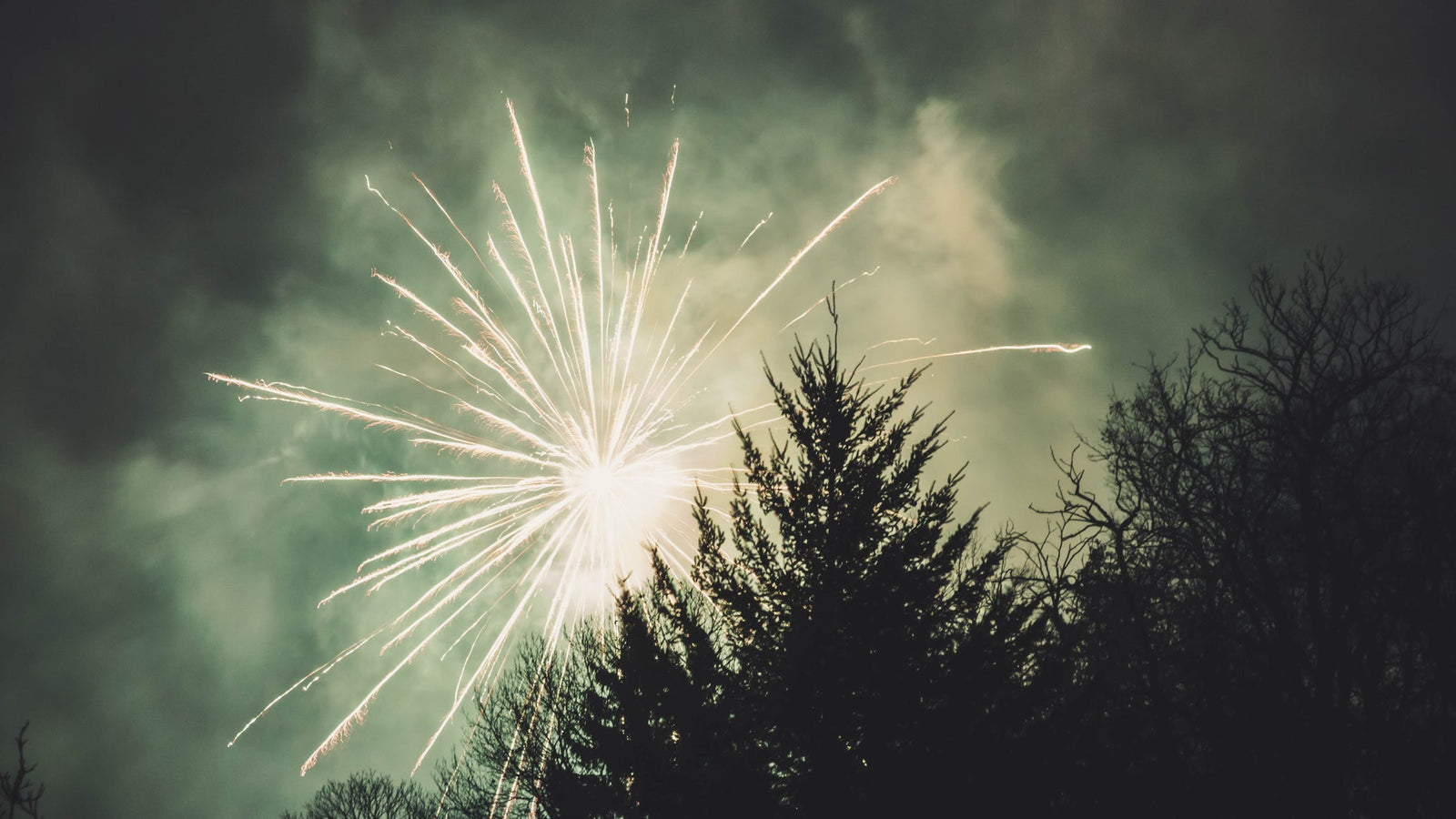 Reflections for the New Year