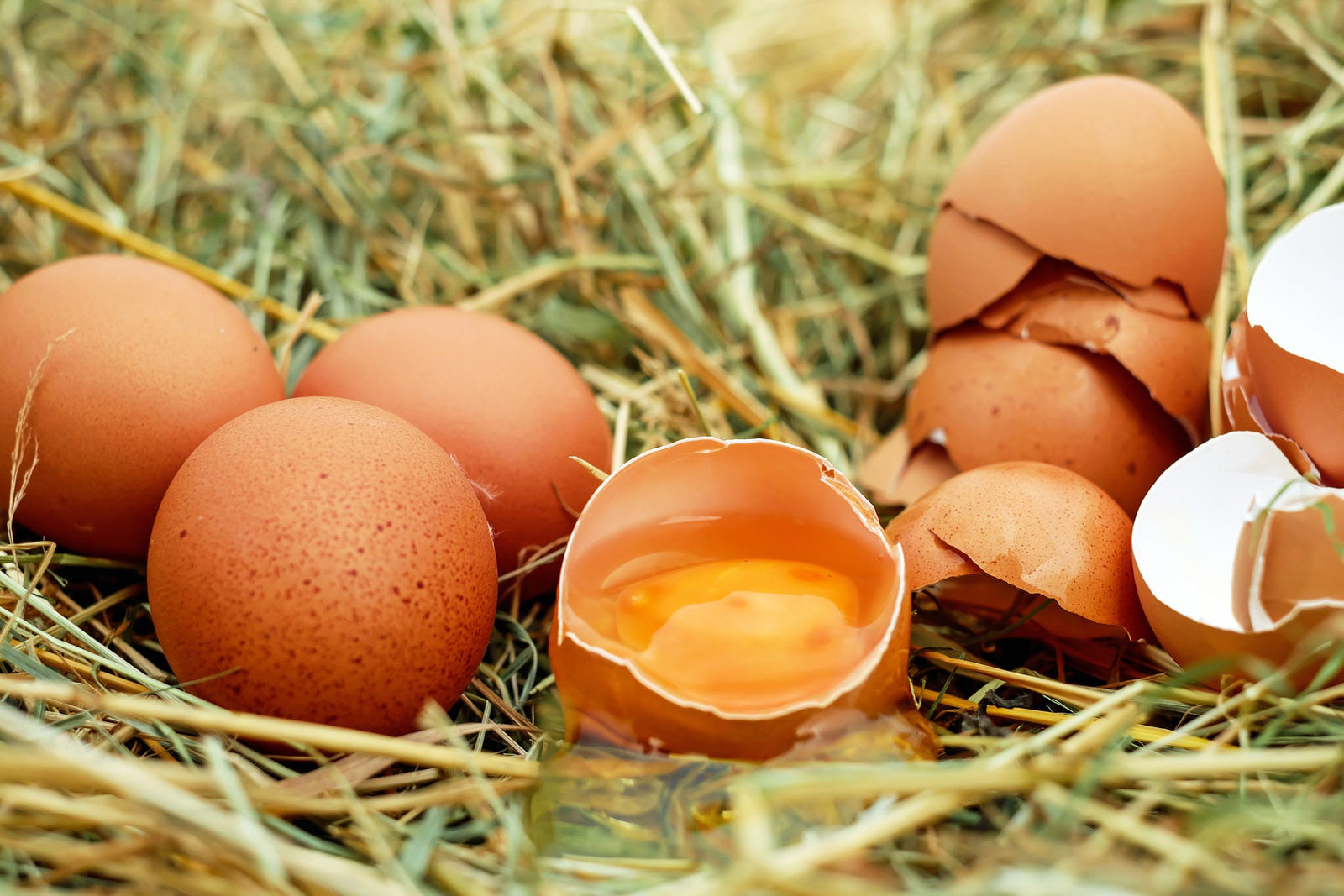 Why egg inventory can be a challenge