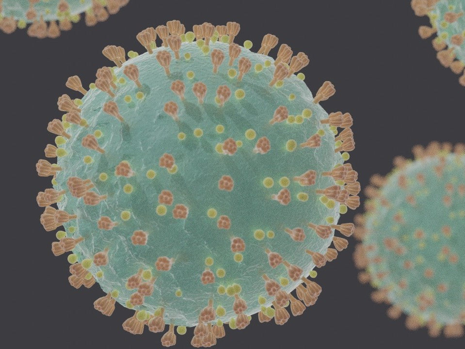The farm's new coronavirus safety policies