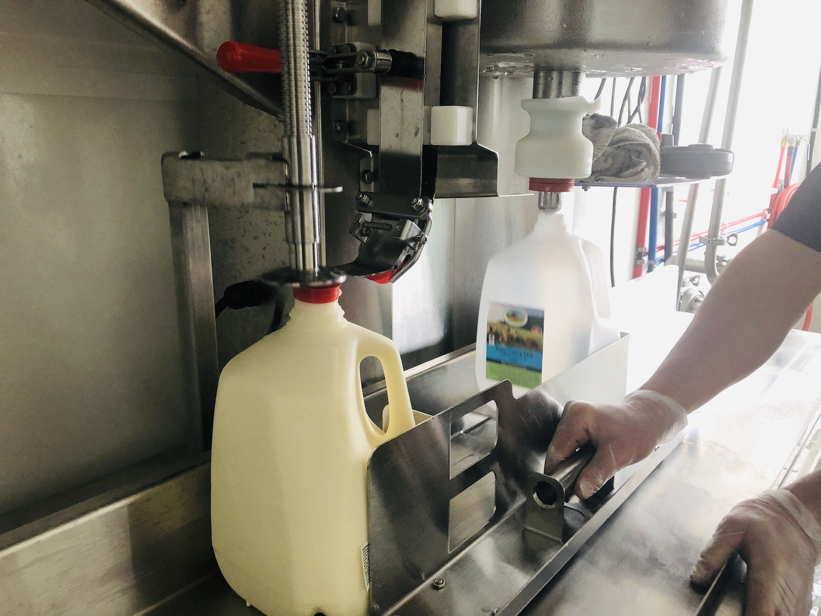 How to store and use raw milk with confidence