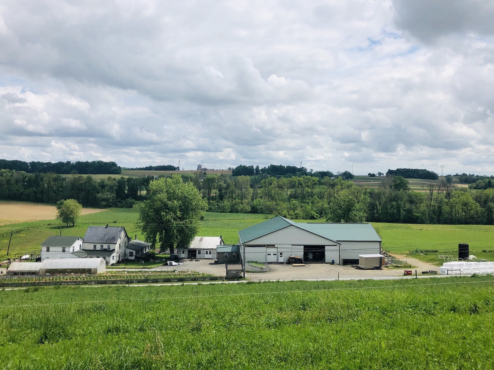 What does a day look like on an Amish farm?