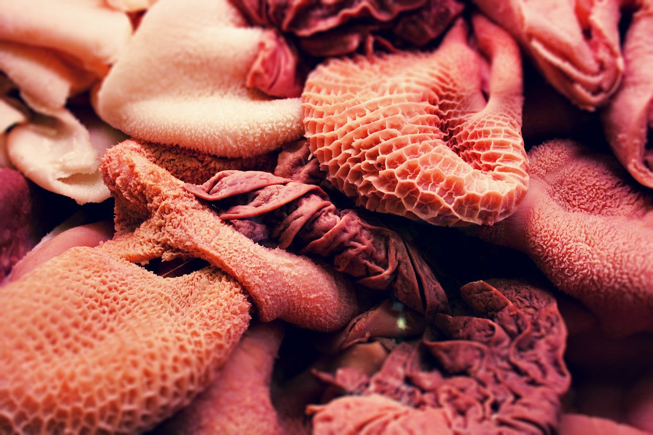 Organ Meat Status