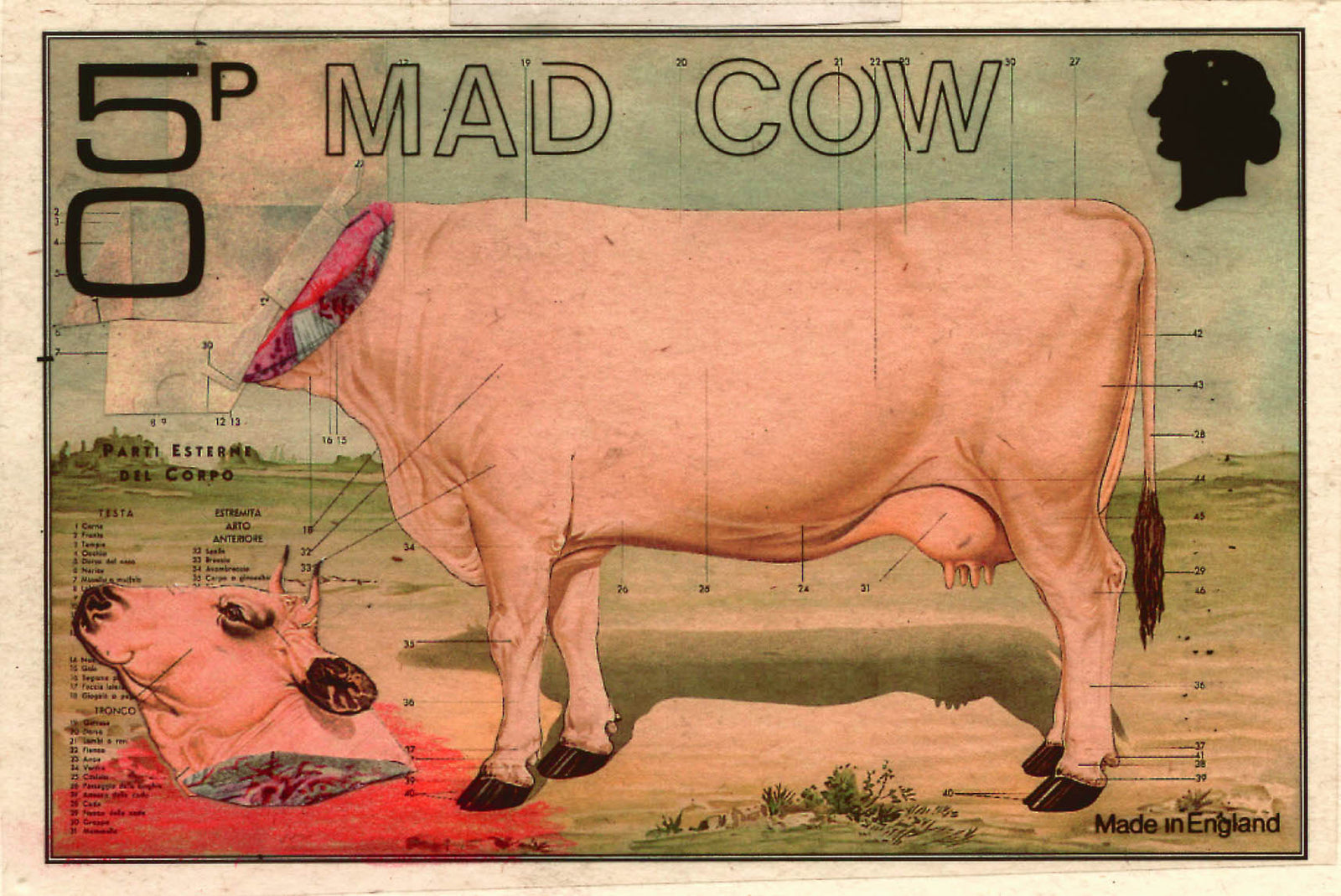 How the fear of Mad Cow Disease lives on