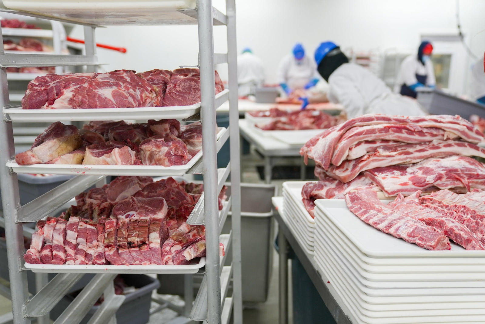 Nutritional loss with frozen meat? Let's take a closer look.