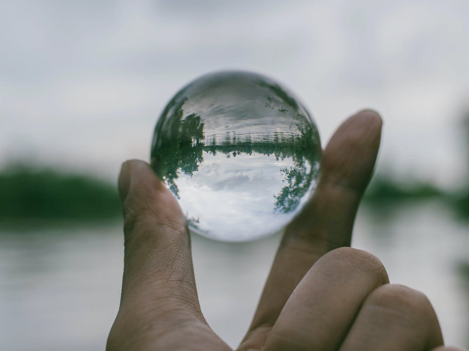 What level of transparency makes you comfortable? We go beyond.