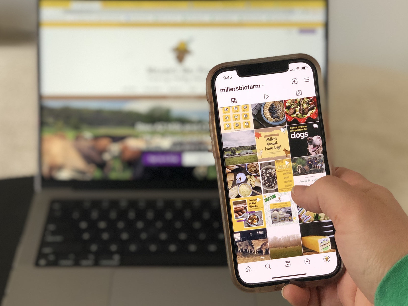Join our online Instagram community. Help us reach 2,000 followers!