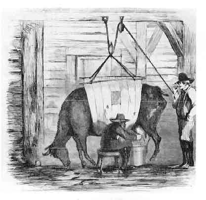 Here's the untold story of raw milk. Raw or pasteurized? It should be your choice.