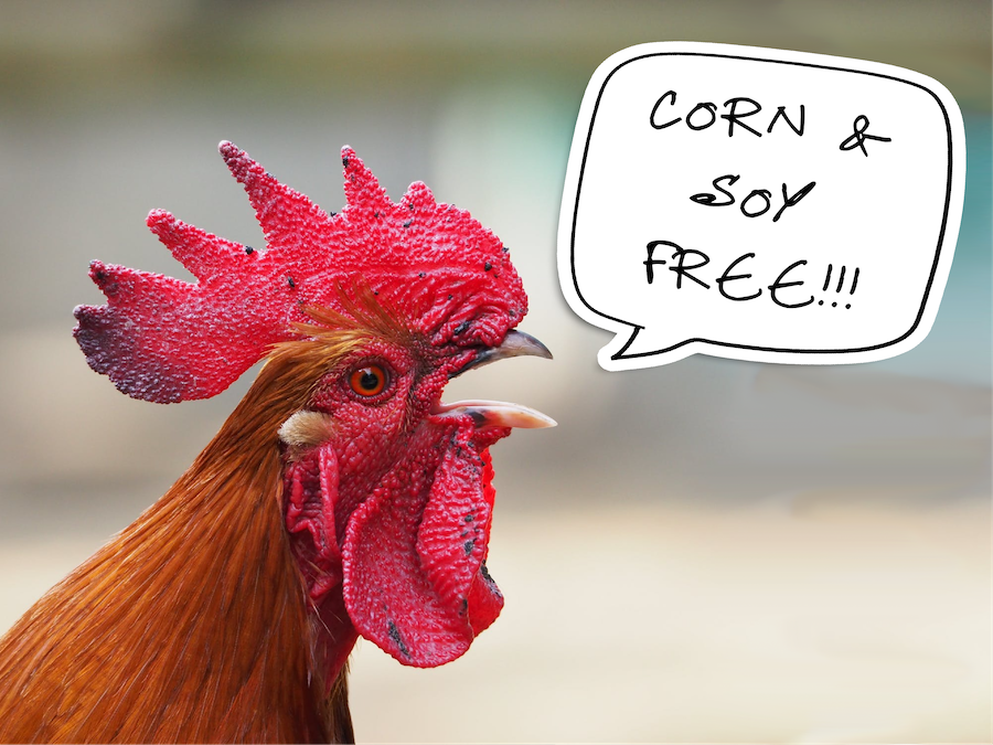 Announcing CORN AND SOY FREE chicken. It's possible and it's finally here!