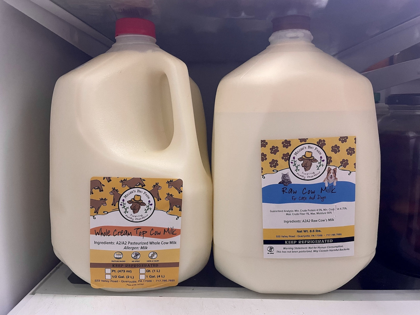 The difference is VISIBLE. How milk changes from raw to cream top pasteurized.