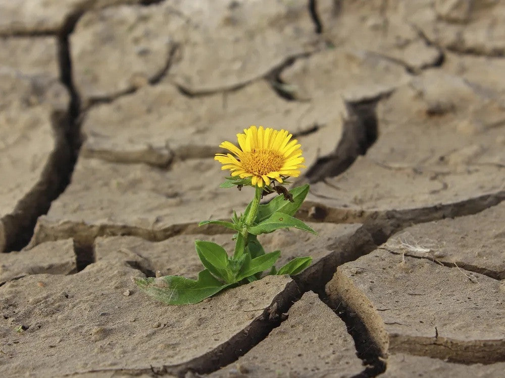 Food resiliency is everything. Together, we are building a better food future.