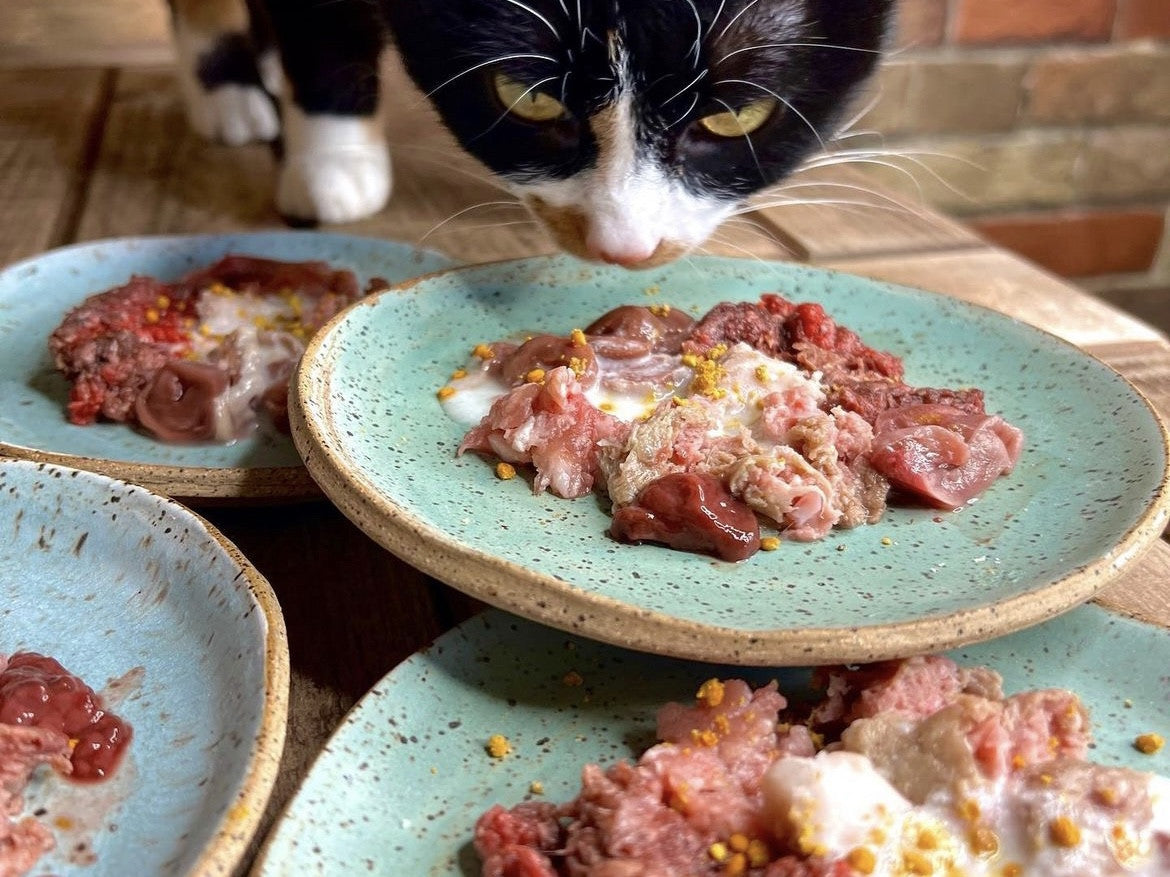 Why a raw food diet for dogs and cats may be the best
