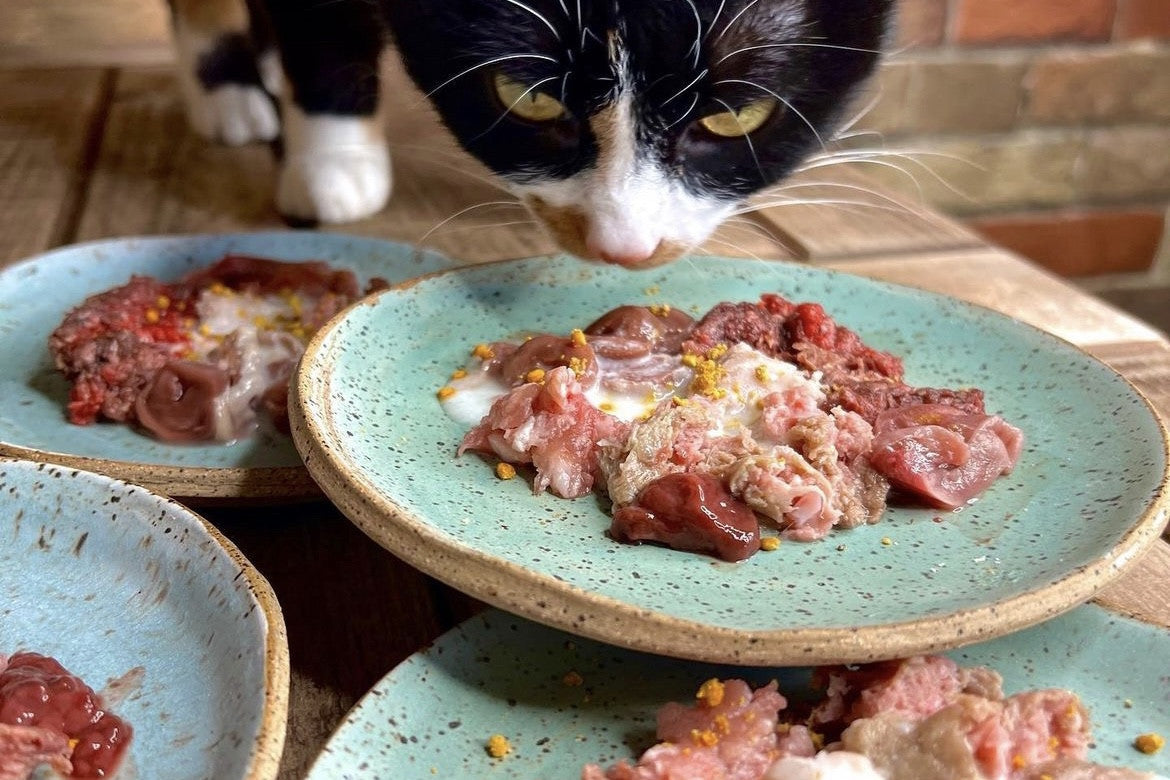 Intro to natural raw feeding for cats and dogs and how to get started.