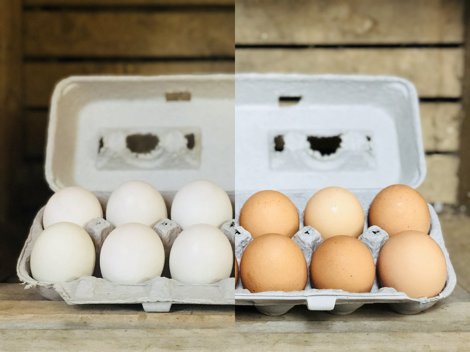 Are duck eggs or chicken eggs better? Let's explore the differences.