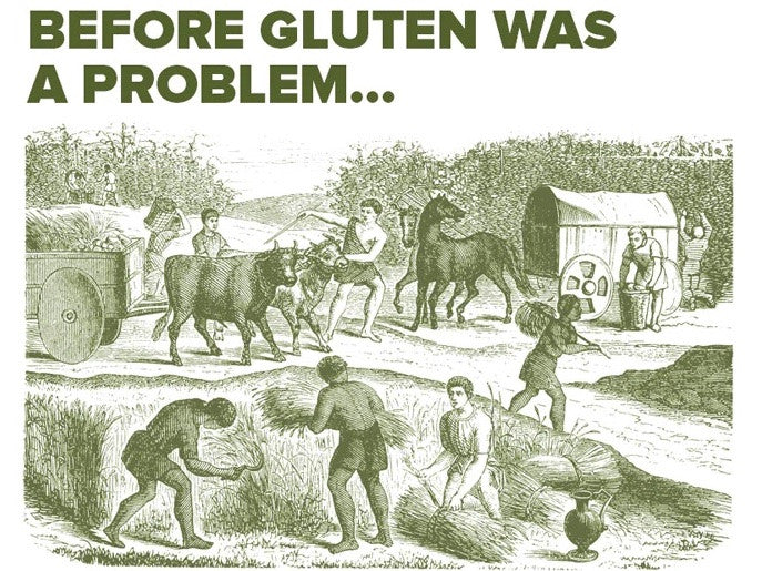 What is Einkorn? Is Einkorn gluten-free? Is Einkorn safe for me?