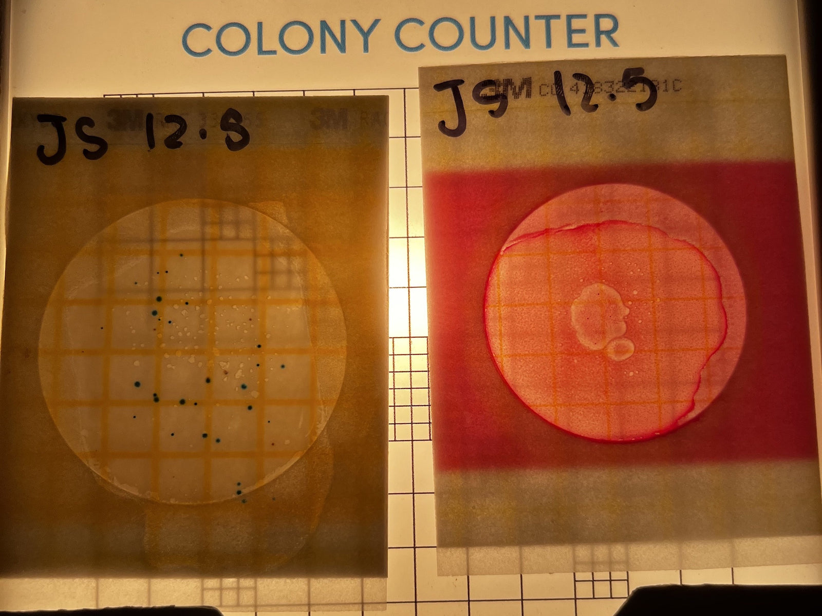 Behind the scenes of milk safety and our e. Coli scare last week.