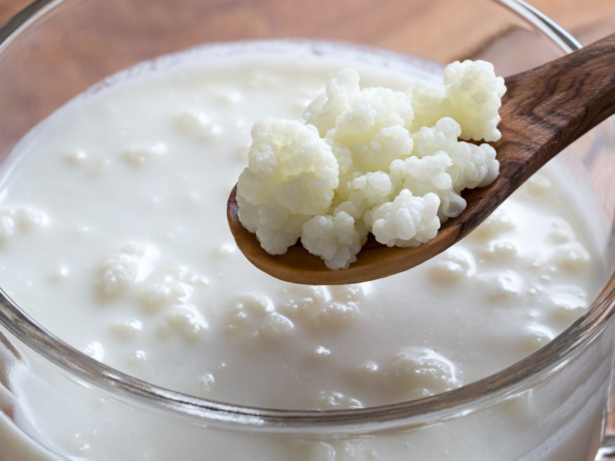 What is milk kefir? How's it made? What are the health benefits?