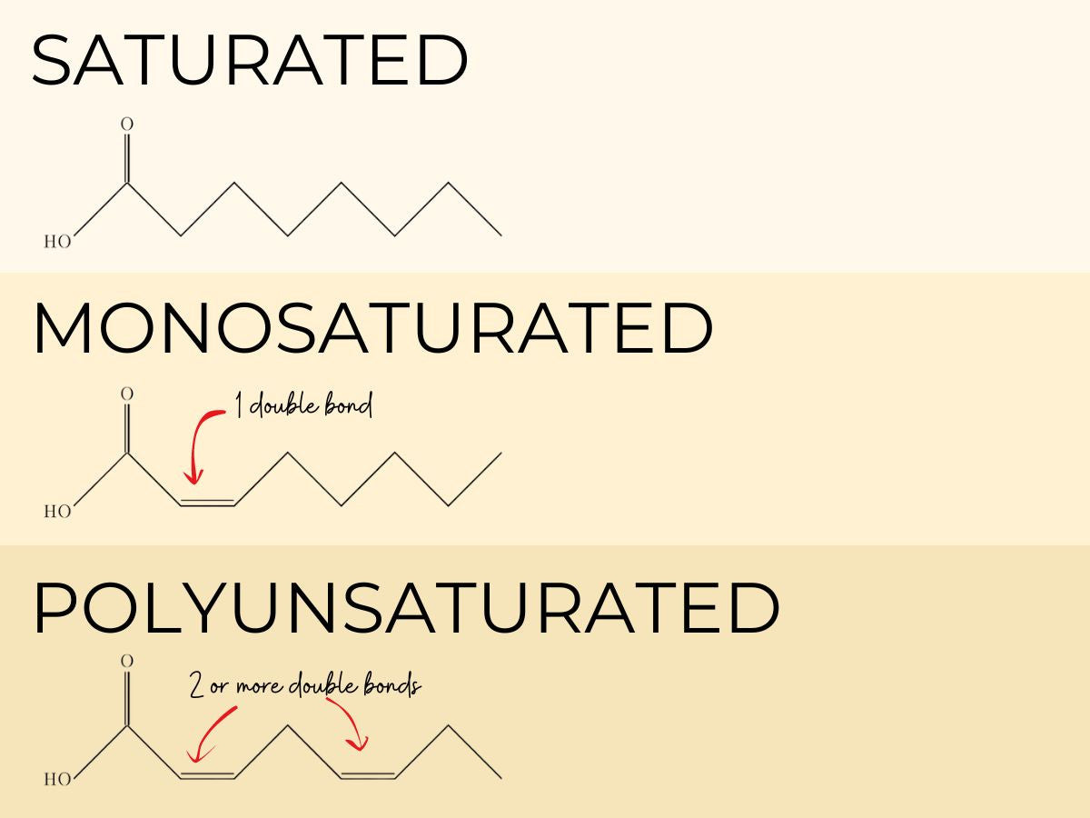The PUFA Predicament: A Look Into Healthy Fats