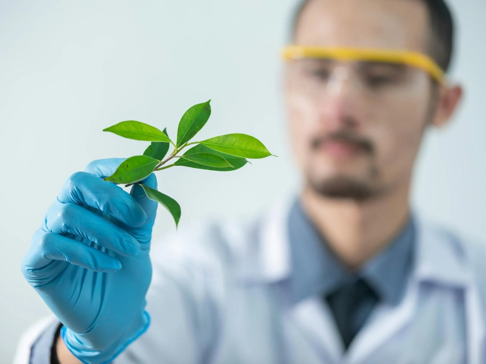 What does "Certified Organic" really mean? What sets Miller's apart?