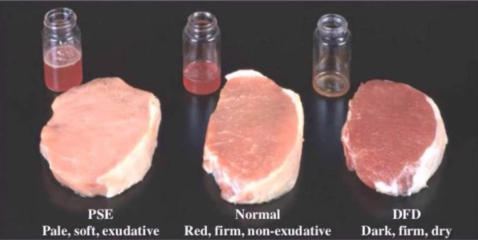 Why meat from stressed animals tastes worse (and it’s also inhumane).