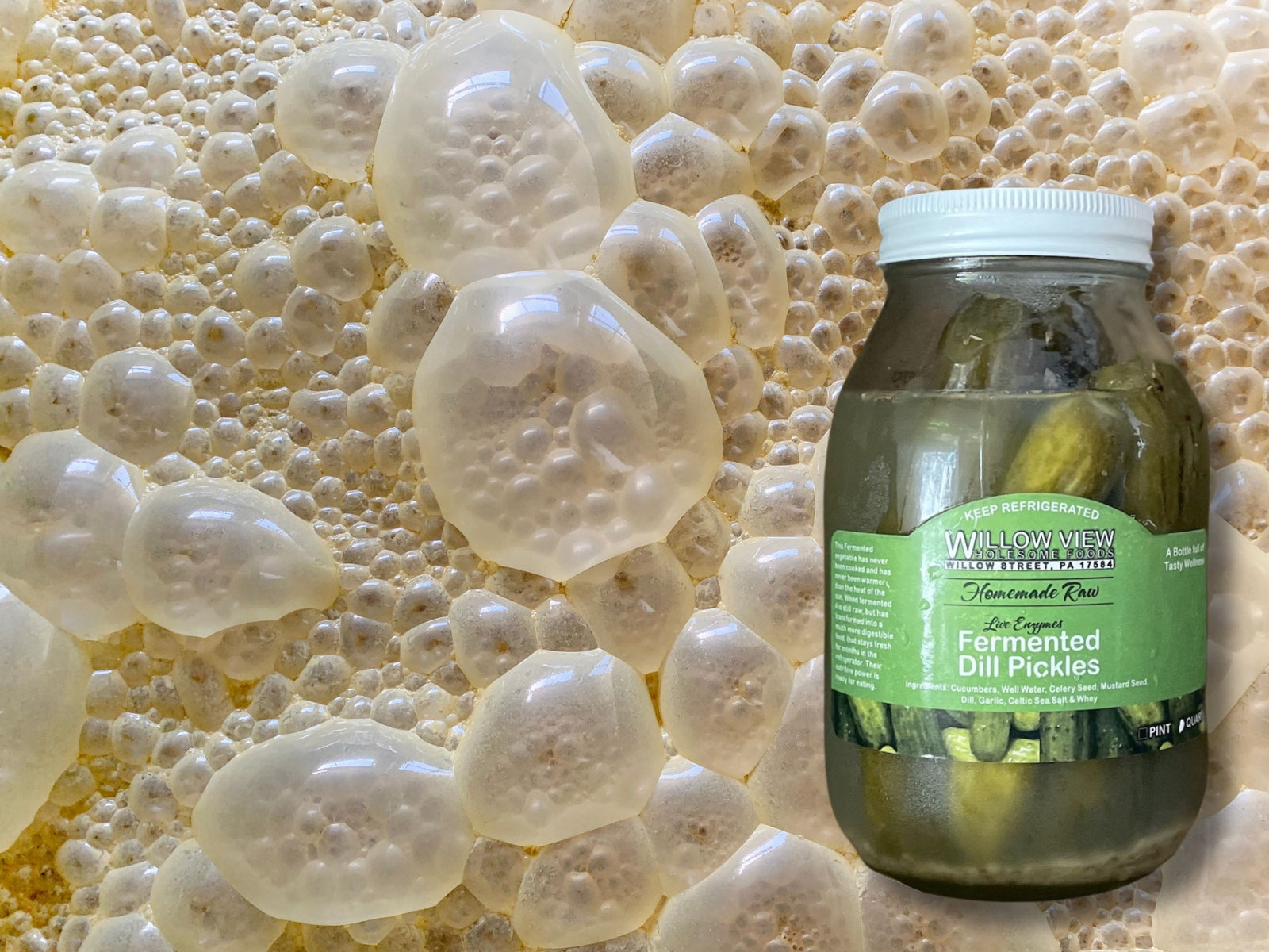 See a volcano of pickles! The pluses and minuses of natural ferments.