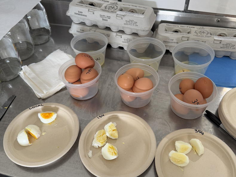 Does varying yolk color affect the flavor of honest eggs?