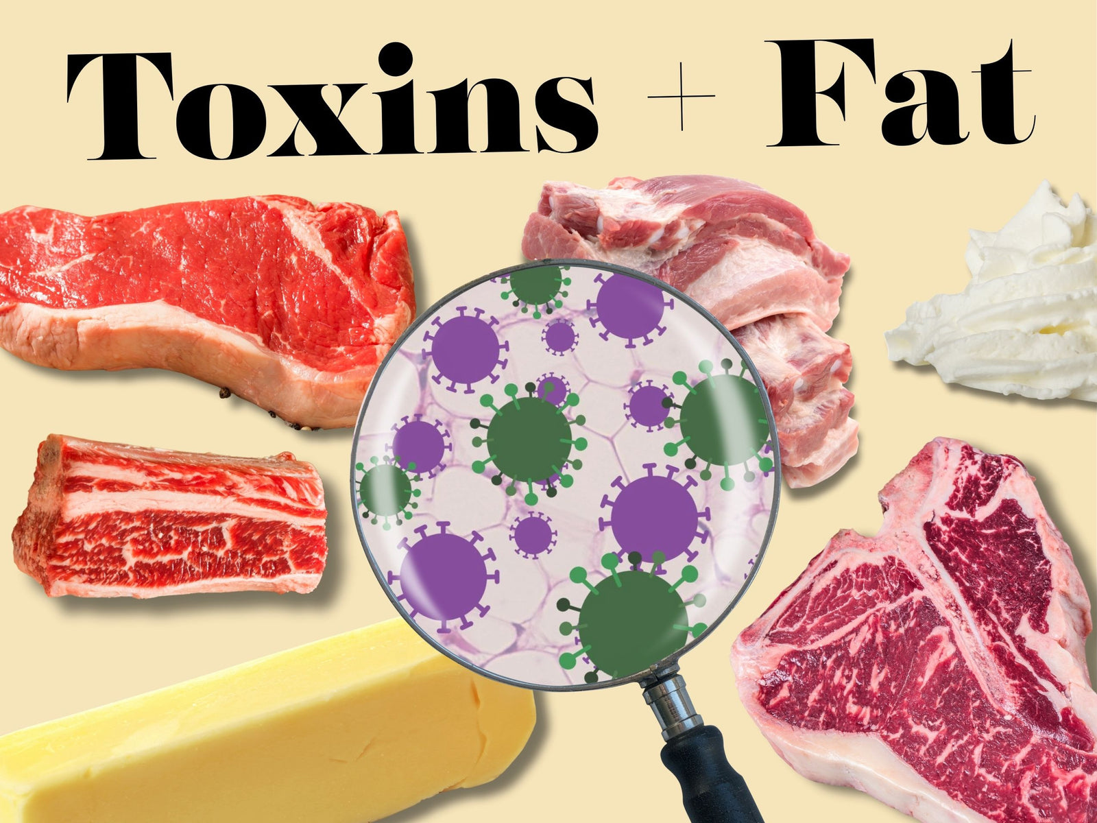 Warning: Fat Holds Toxins. Carnivore and keto folks should watch out.
