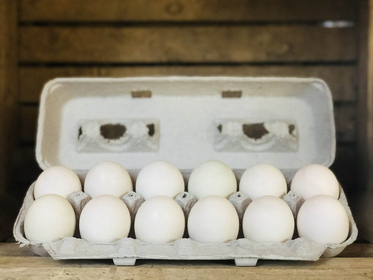 1 dozen - Duck Eggs