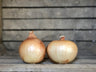 Yellow Onions (2lb)