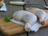 Chicken Leg Quarters