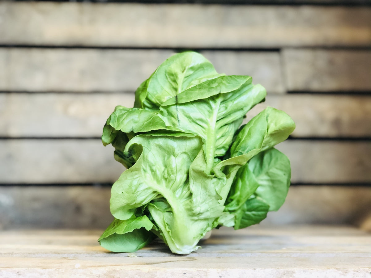 Little Gem Romaine Lettuce (2 head)