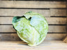 Green Cabbage (1 head)