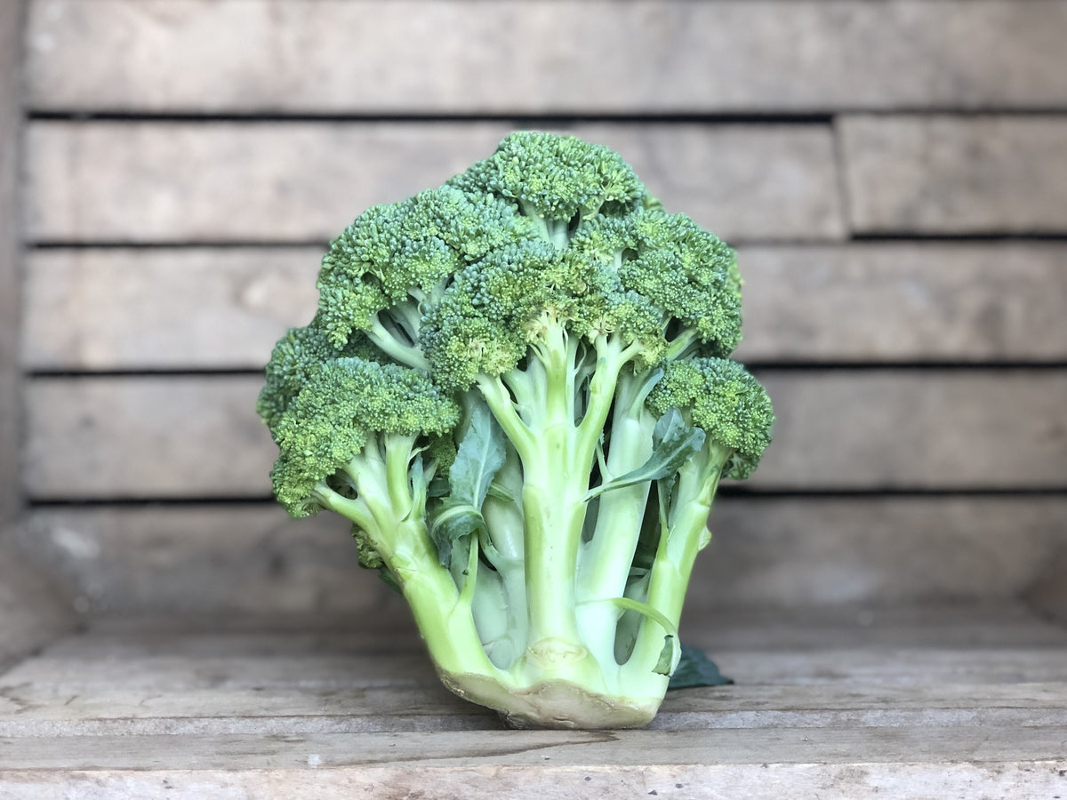 Broccoli (1 pack)