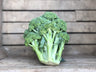 Broccoli (1 pack)