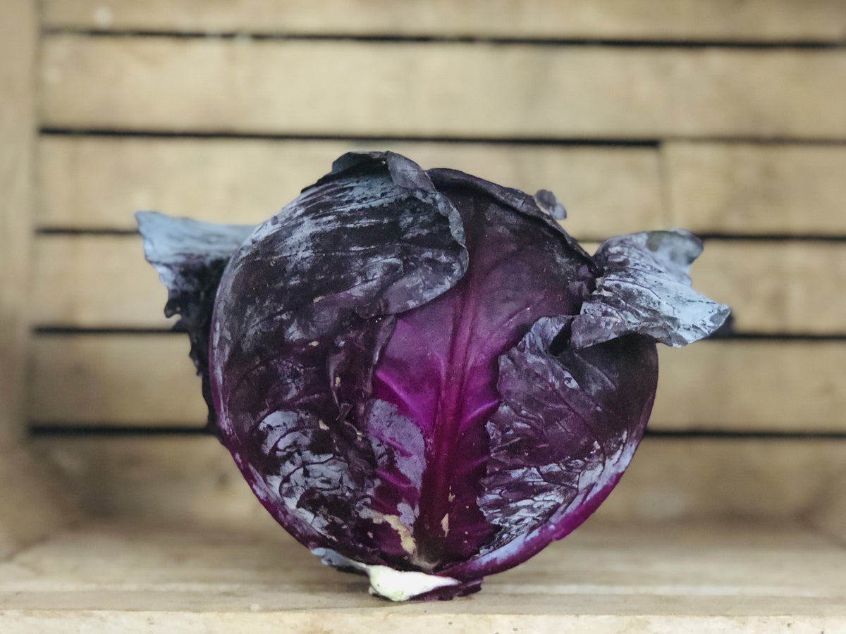 Red Cabbage (1 head)