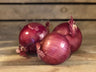 Red Onions (2lb)