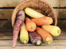 Rainbow Carrots (2lb)