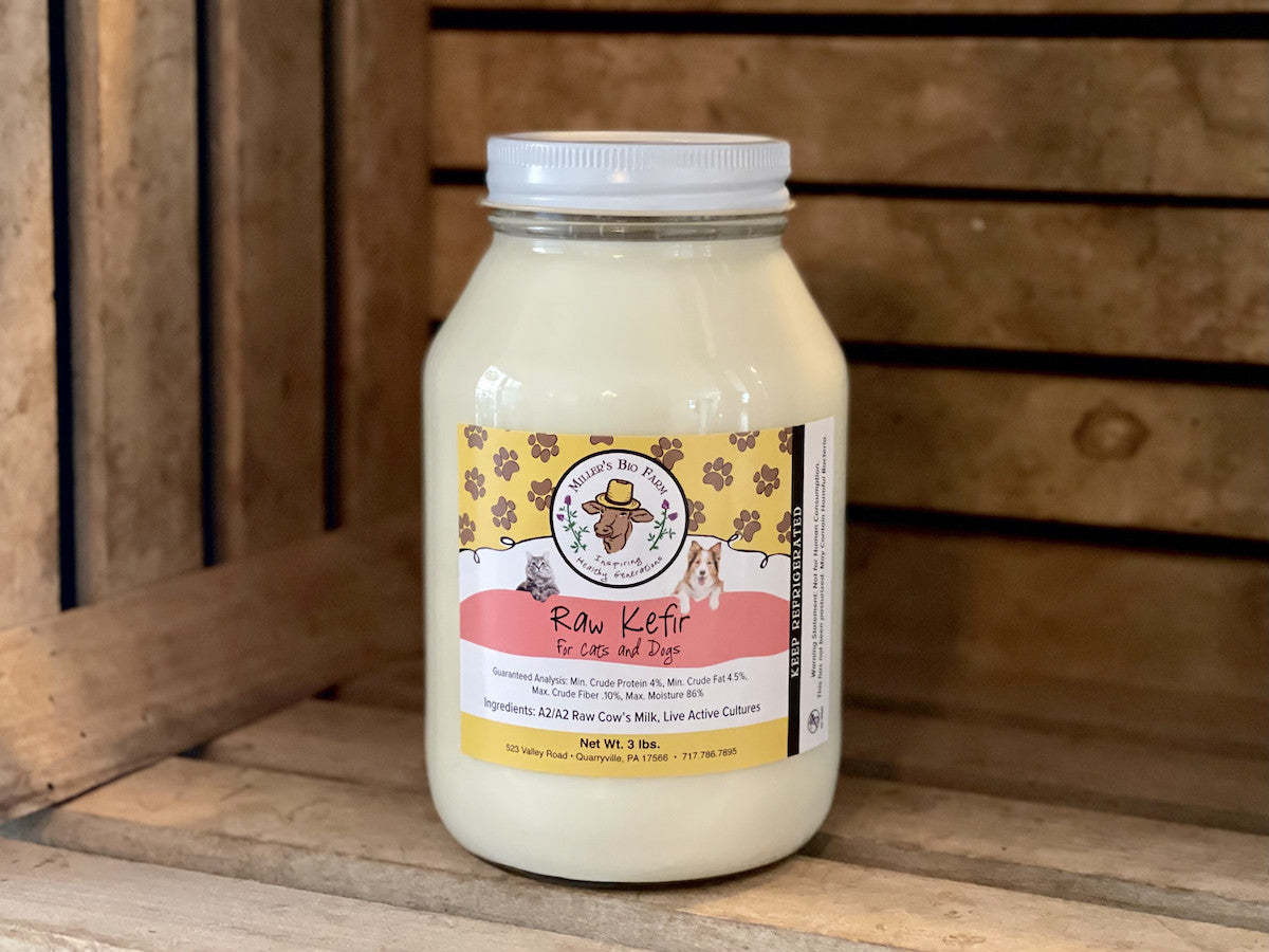 1 quart - Raw Mild A2/A2 Kefir for Cats & Dogs (Glass)