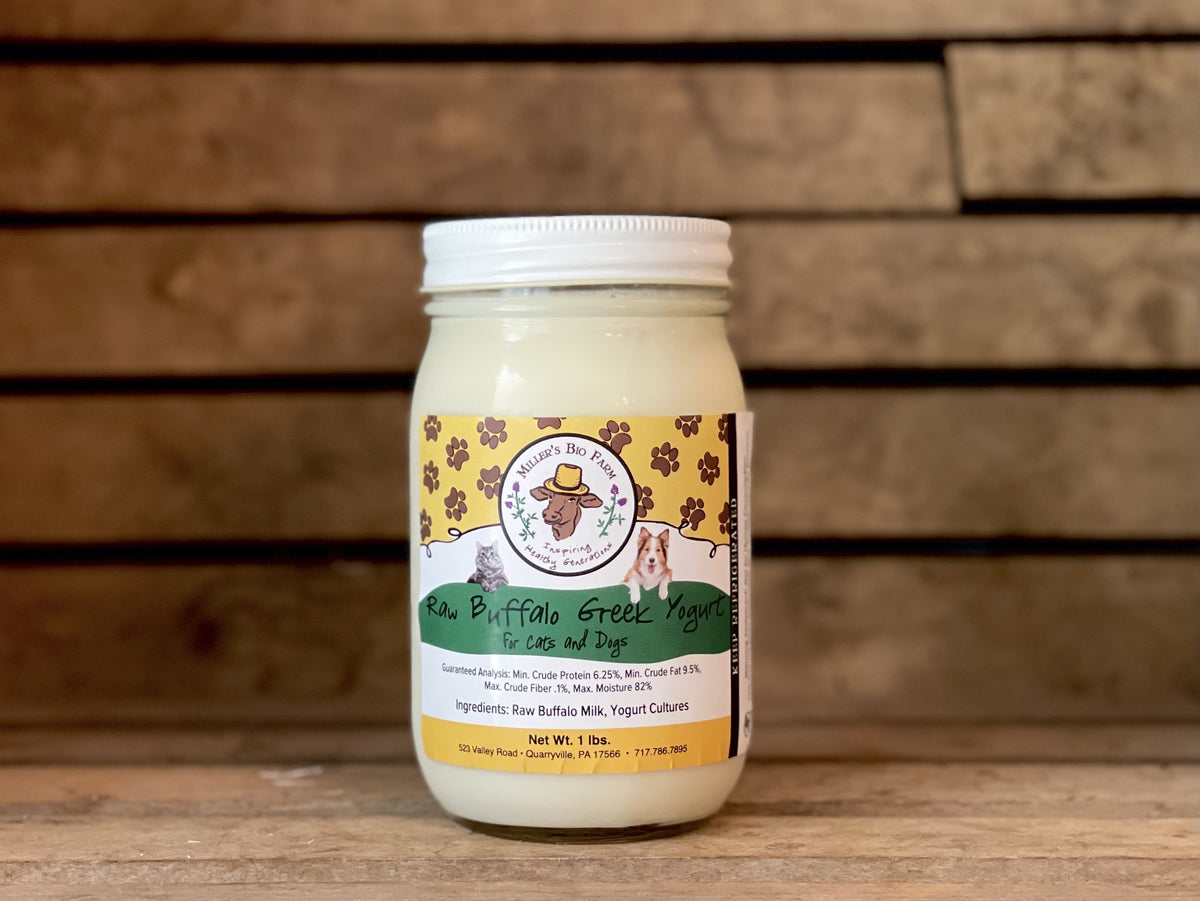 1 pint - Raw Buffalo Greek Yogurt for Cats & Dogs (Glass)