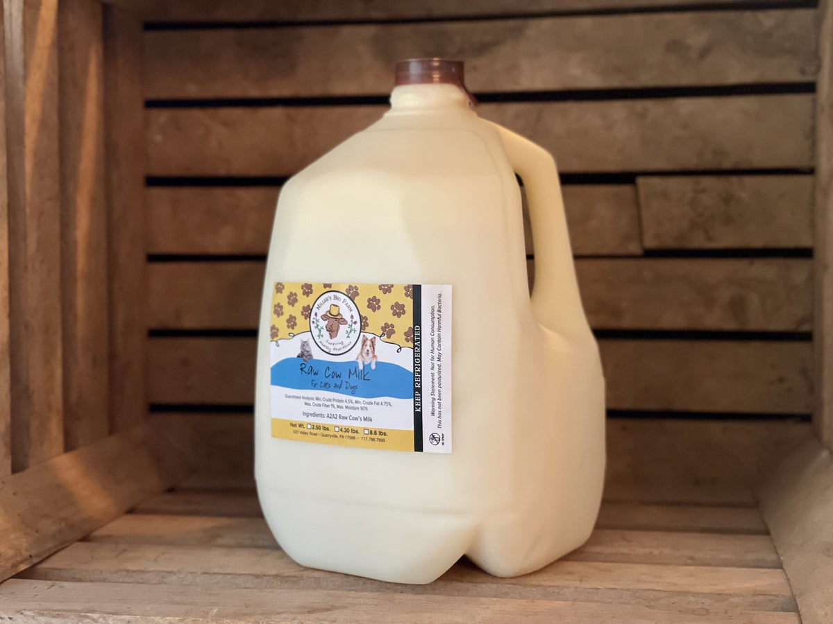 1 gallon - Raw A2/A2 Milk for Cats & Dogs