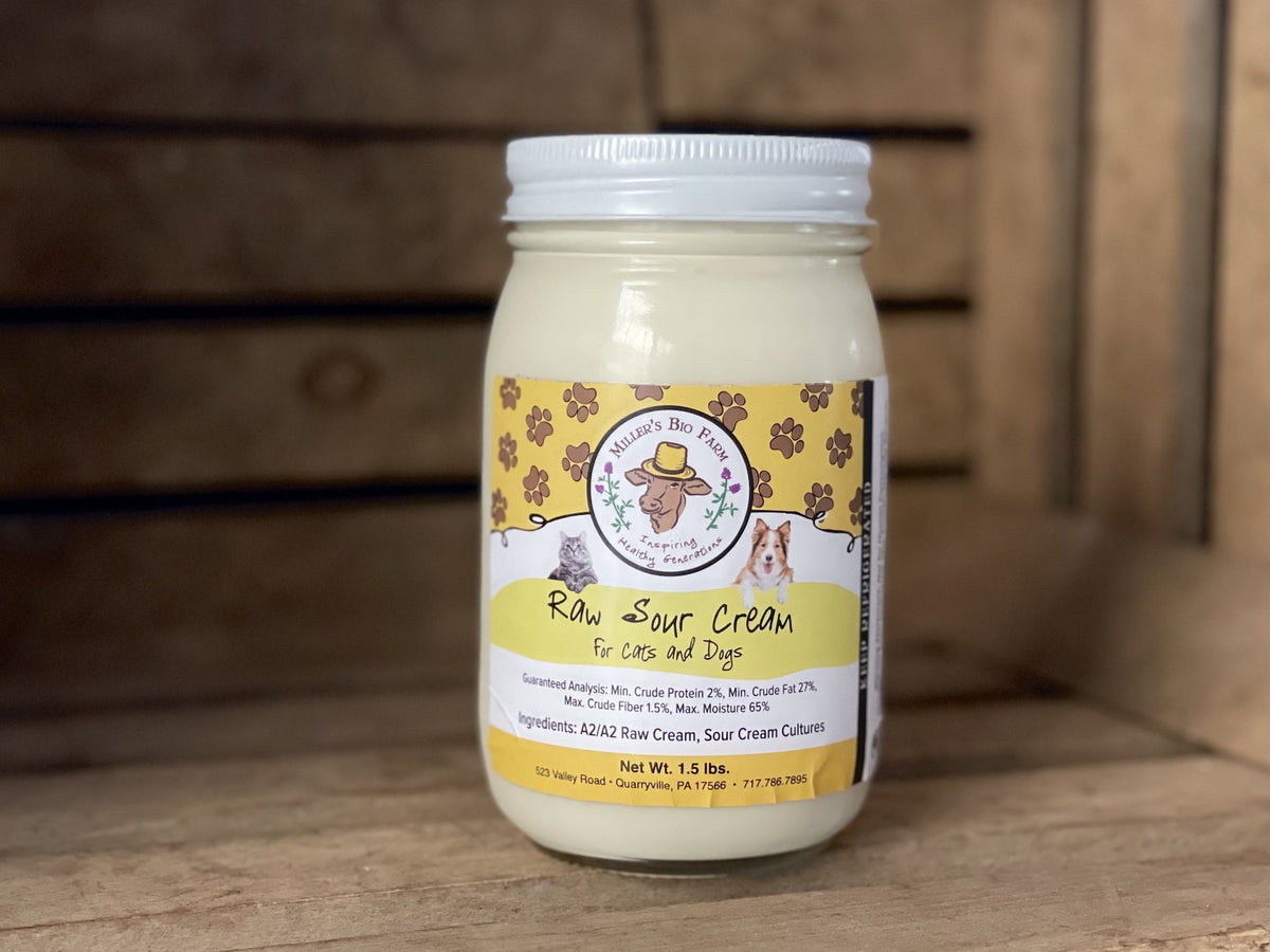 1 pint - Raw A2/A2 Sour Cream for Cats & Dogs (Glass)
